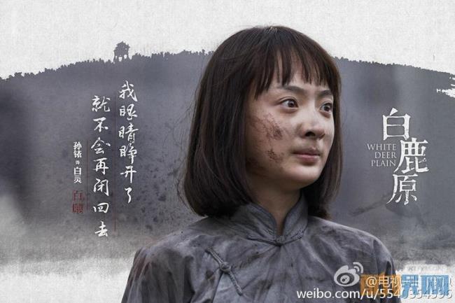 闫妮在白鹿原中扮演谁