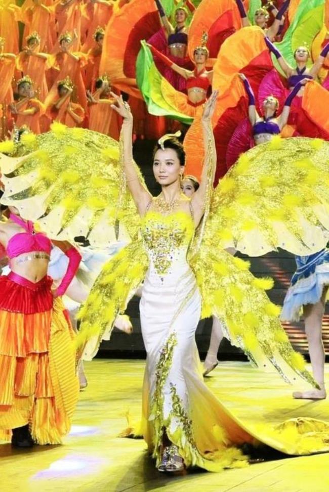 金鹰女神是什么综艺