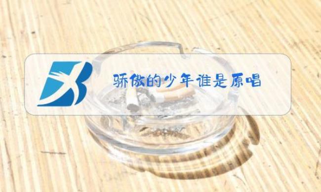 骄傲吧少年原唱