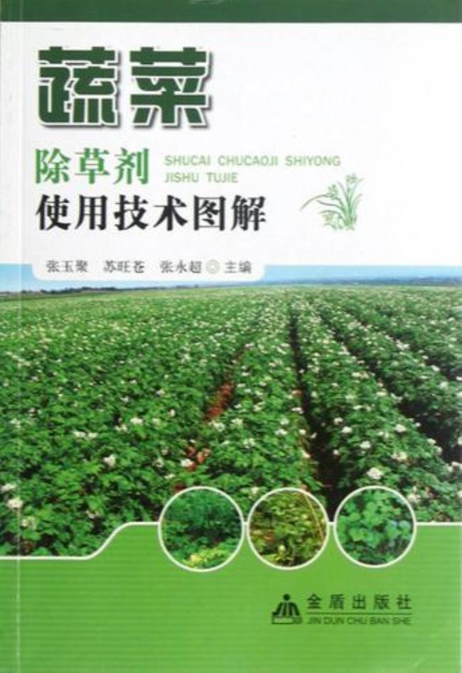 赖菜什么时候打除草剂