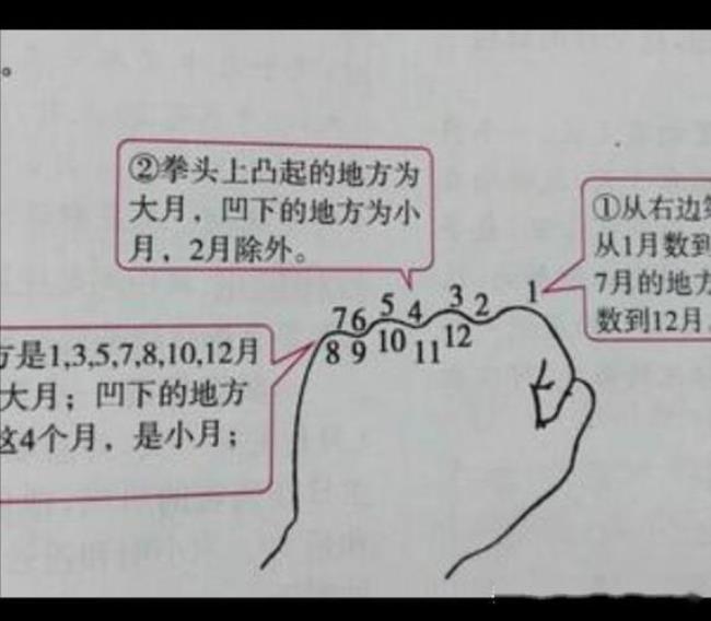 大月小月是什么