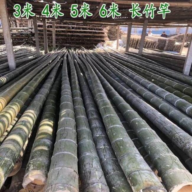 一根正常的毛竹多少米