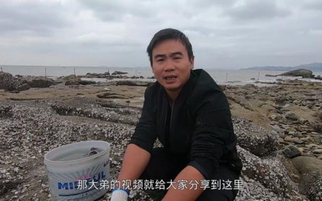 抽坑赶海十佳排名