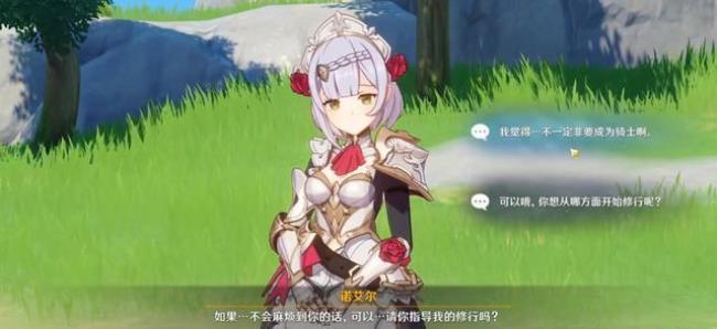 原神诺艾尔几岁了