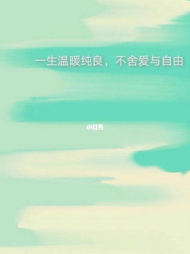 舍爱什么意思