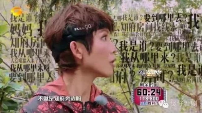 沈腾和蔡少芬的综艺节目叫什么