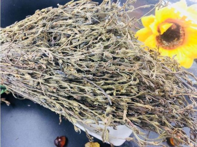 独脚金草