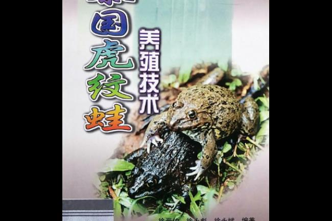 泰蛙养殖全过程