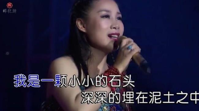 80年代雨花石谁唱的
