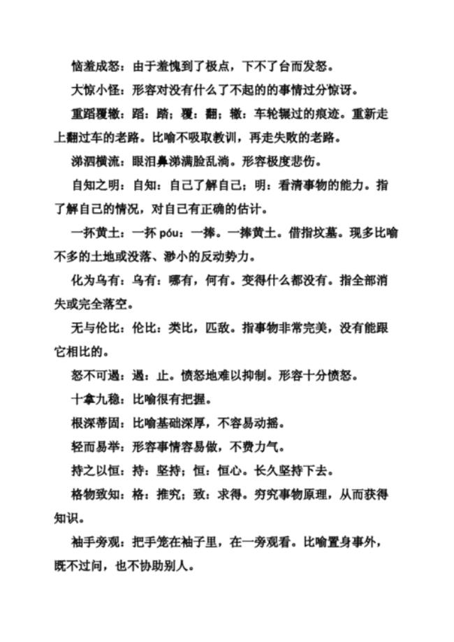 为表诚意是成语吗