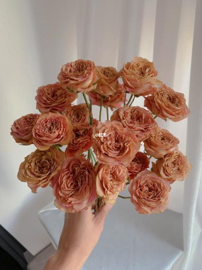 玫瑰干花怎样做能保持色泽鲜艳