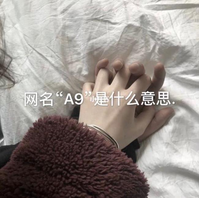 网名梦想成真是什么意思
