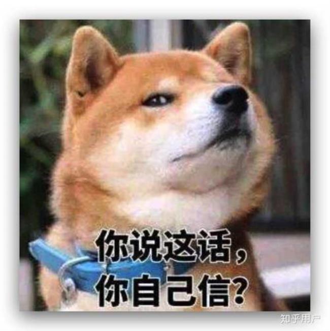 高冷怪是什么意思