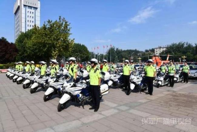 保定有几个交警支队