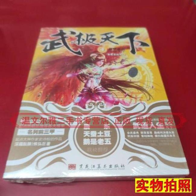 武极天下的本文设定