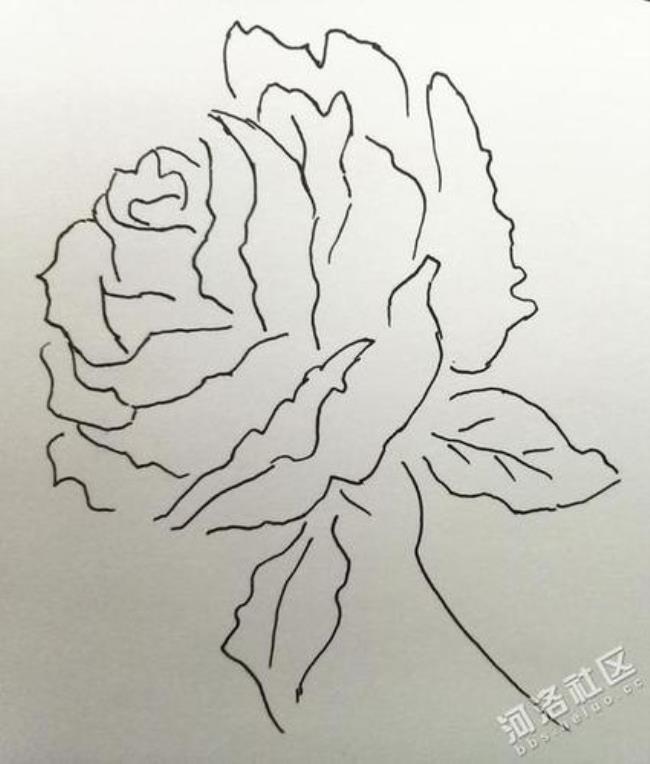 哪种画最好看易学