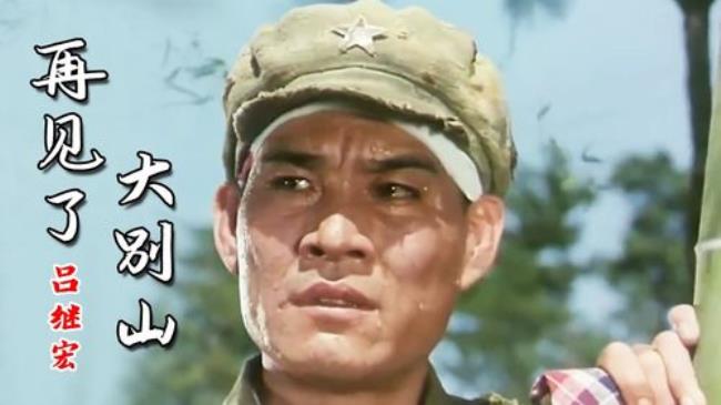 再见了大别山主题
