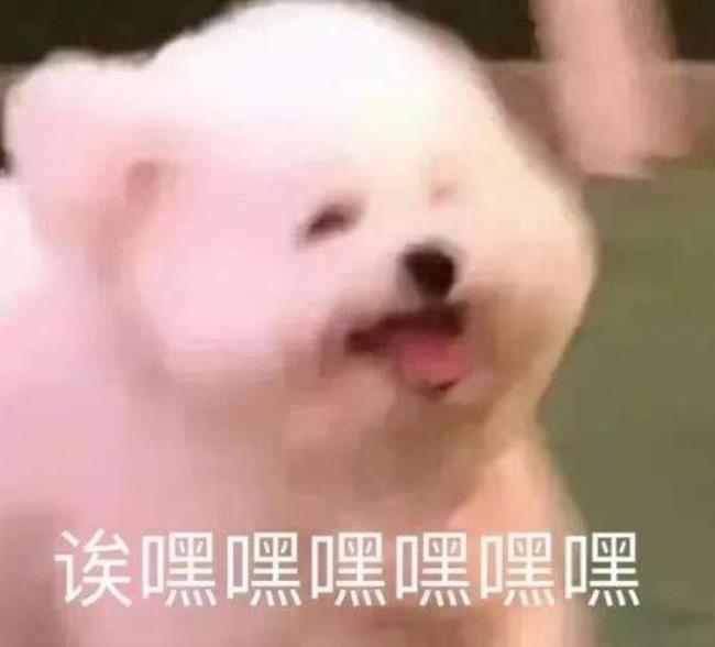 表情嘿嘿是啥意思