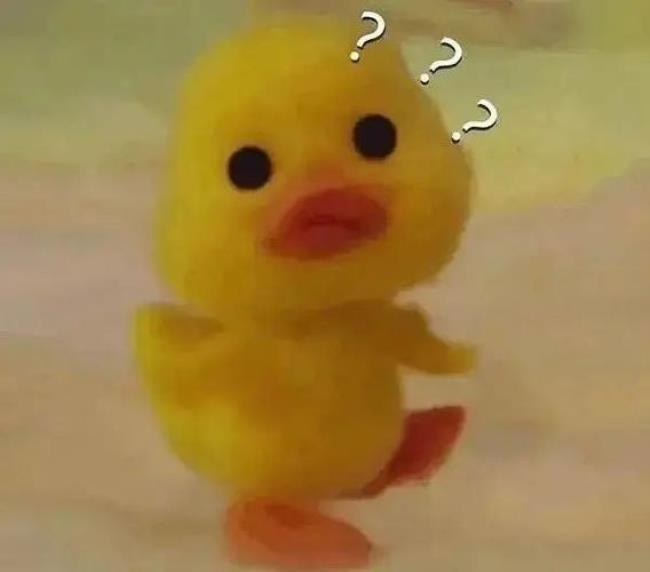 鸭可爱什么意思网络语