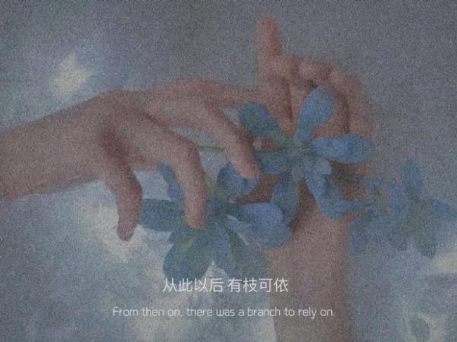 分享日常琐碎文案