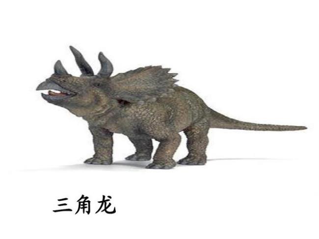 三角龙生活的世纪和灭绝时间