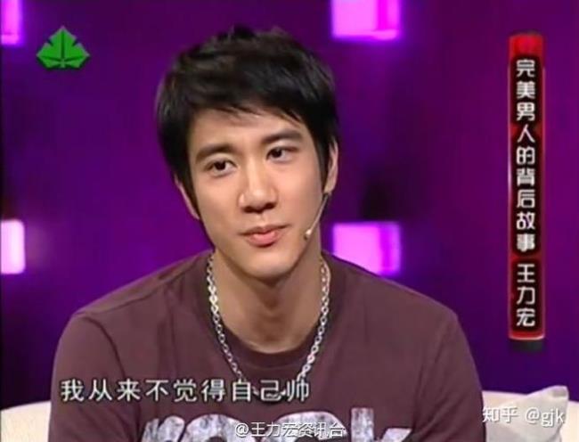 王力宏脸型分析