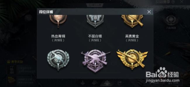 和平精英巅峰赛战队名字大全