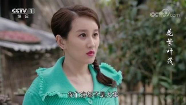花繁叶茂賀总扮演者