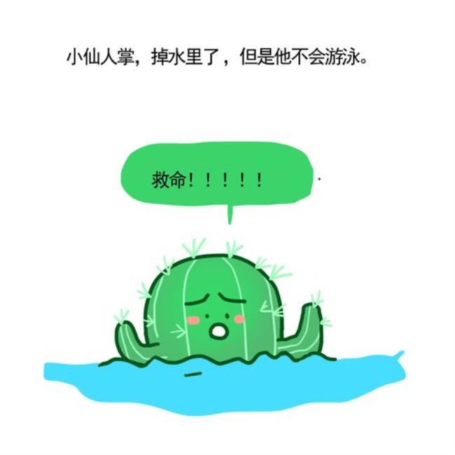 小鸟不敢下水的动漫