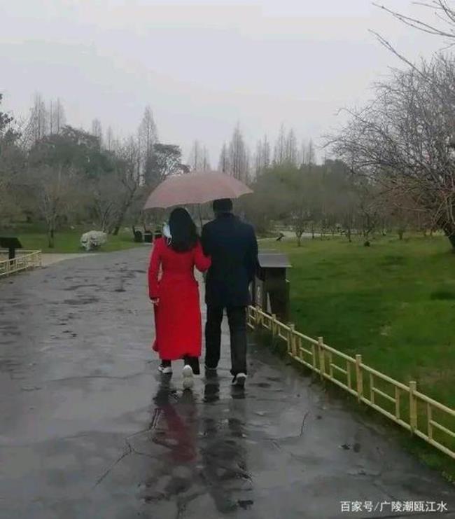 风雨中情原唱