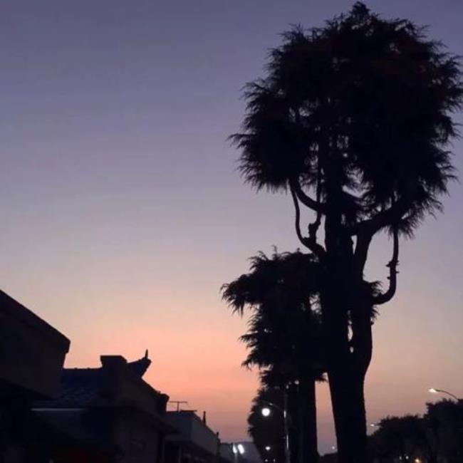 一身傲气怎能服输什么意思