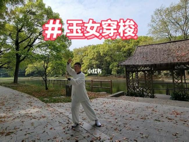 85式太极拳玉女穿梭是哪四个方向