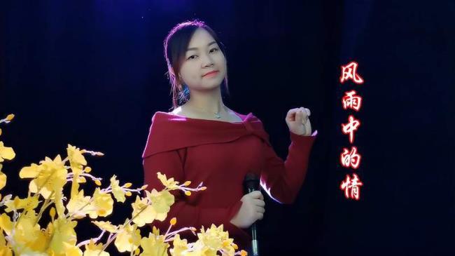 风雨中的情女声版原唱