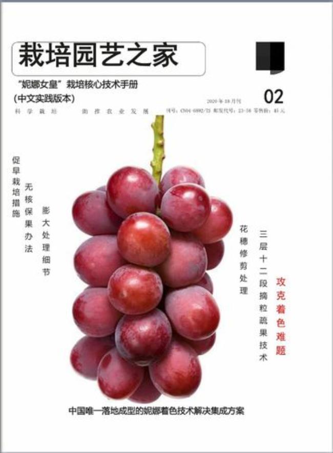 伊娜王后栽培技术