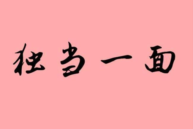 独偶什么什么的成语