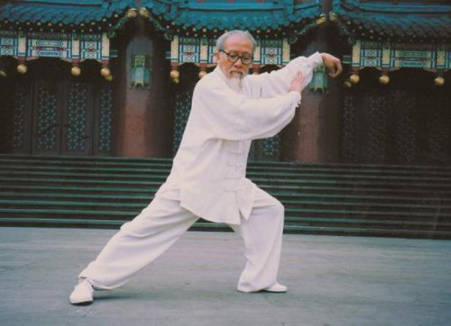武式太极拳的代表人物