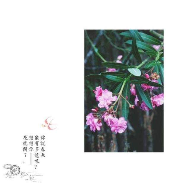 才感春来忽而夏至什么意思