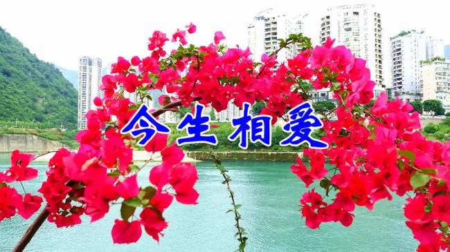 今生相爱原唱连唱