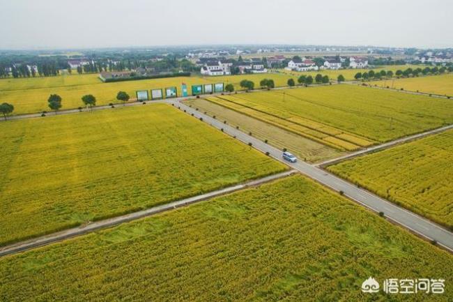 一亩是多少个平方米