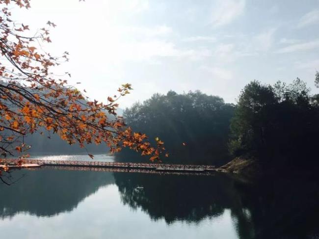 才感盛夏忽而立秋是什么意思