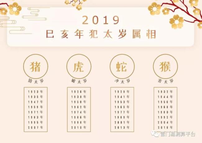 己亥是哪一年属什么