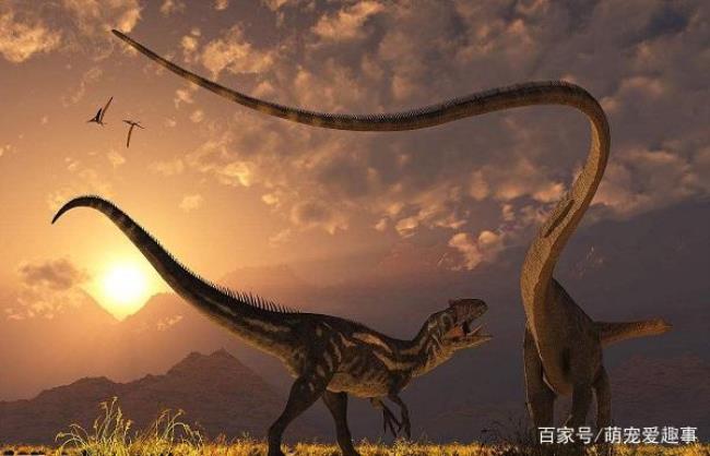 甲龙能打死霸王龙吗