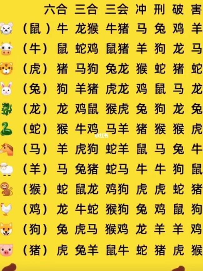 储字是什么生肖