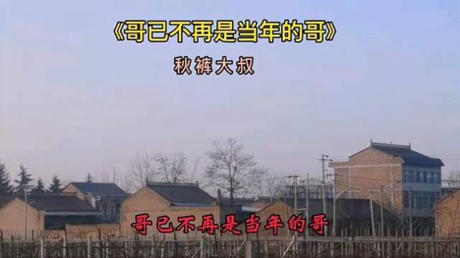 哥已不再是当年的哥谁写的