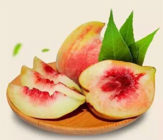 鹰嘴桃成熟时间