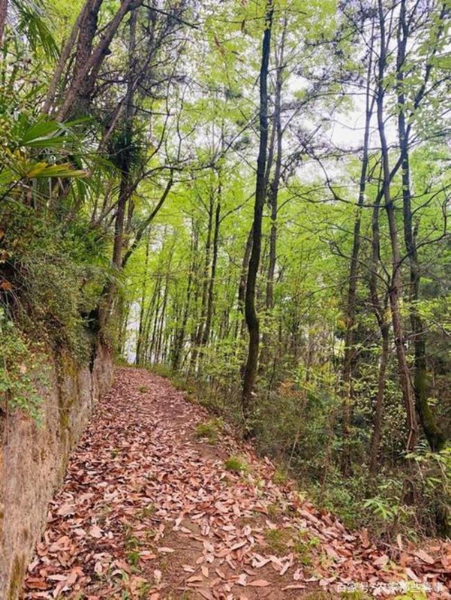 山间的小路原唱