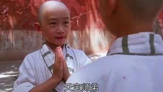 李连杰太极张三丰小君宝扮演者