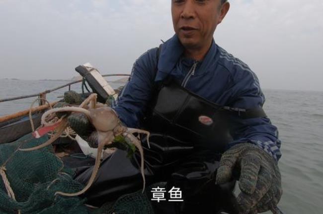 出海捕鱼是什么梗