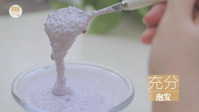 酸奶种子怎么弄