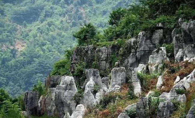 大山有哪些声音
